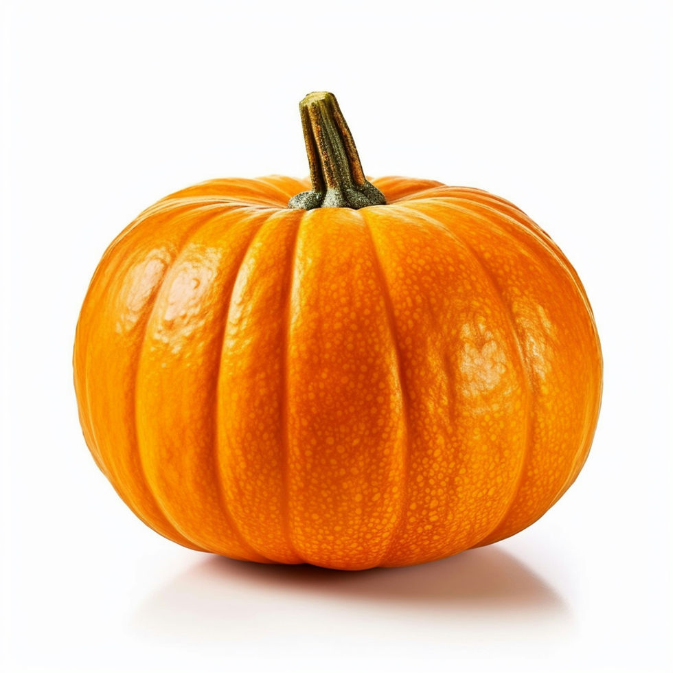 Pumpkin Bedazzling at Teddy's Best Reads
