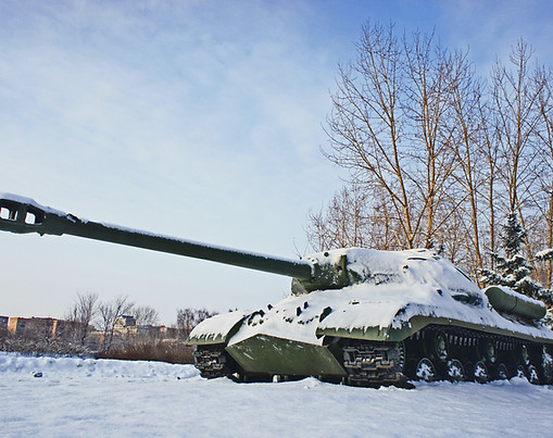Image by Boris Busorgin