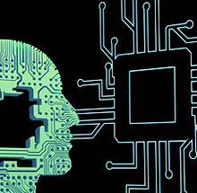 Image by Steve Johnson