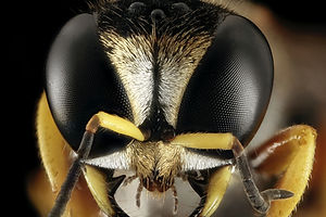 Image by USGS