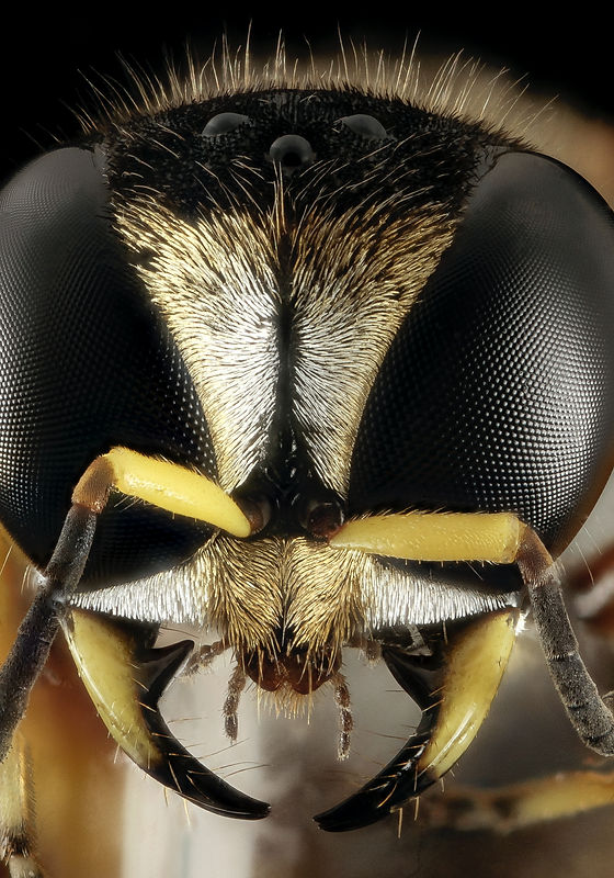 Image by USGS