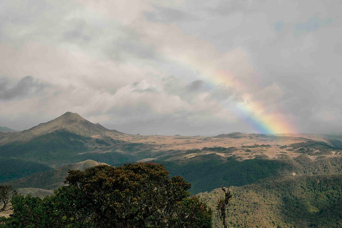 Image by Victor Sauca