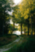Image by Andreas Rasmussen