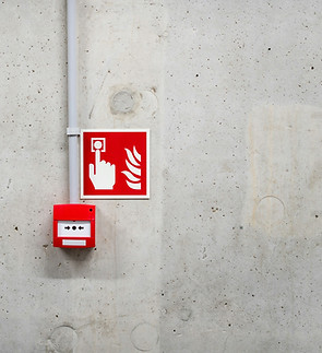 Image by Jakub Żerdzicki