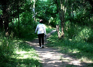 Image by Charles Ray