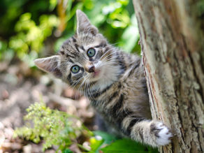 Nos histoires de vie en disent long sur qui nous sommes vraiment!