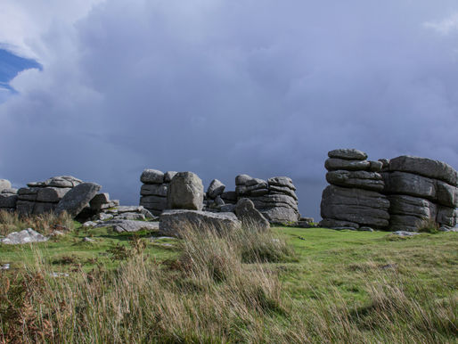 Glade Ecology Ecology Survey Bodmin