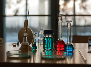 Image by Ivona Rož
