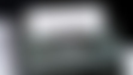 Racial Wealth Gap Learning Simulation