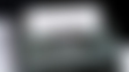 Racial Wealth Gap Learning Simulation Results