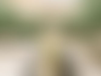 Submit a Guest Post in Westlake, Louisiana