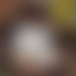 O caminho da consciência II