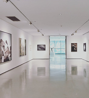 Image by Dannie Jing