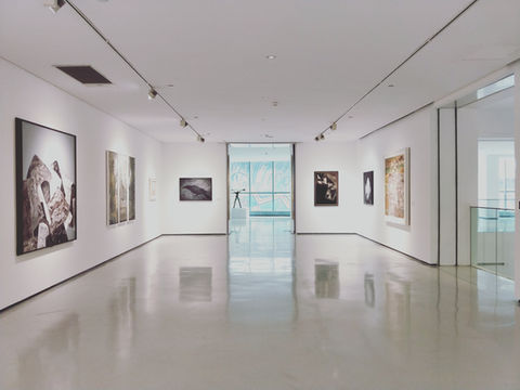 Image by Dannie Jing
