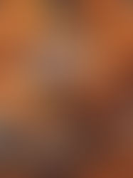 A Chicken Fried Front For Crime