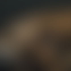 The Pit Bull Paradox