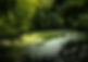 Image by Håkon Grimstad