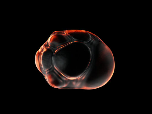 Embryo Transfer: Techniques and Factors Affecting Success