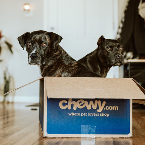 Is Castration a Sin? A Biblical Perspective