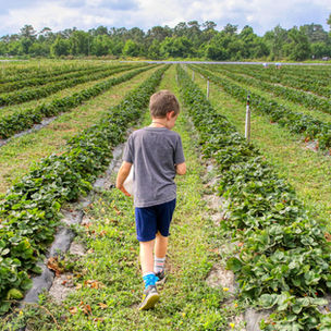 VFF urges farm families to prioritise child safety 