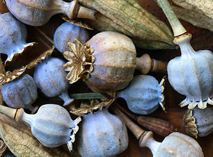 Image by Pierre Bamin