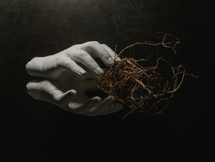 The Roots of Love