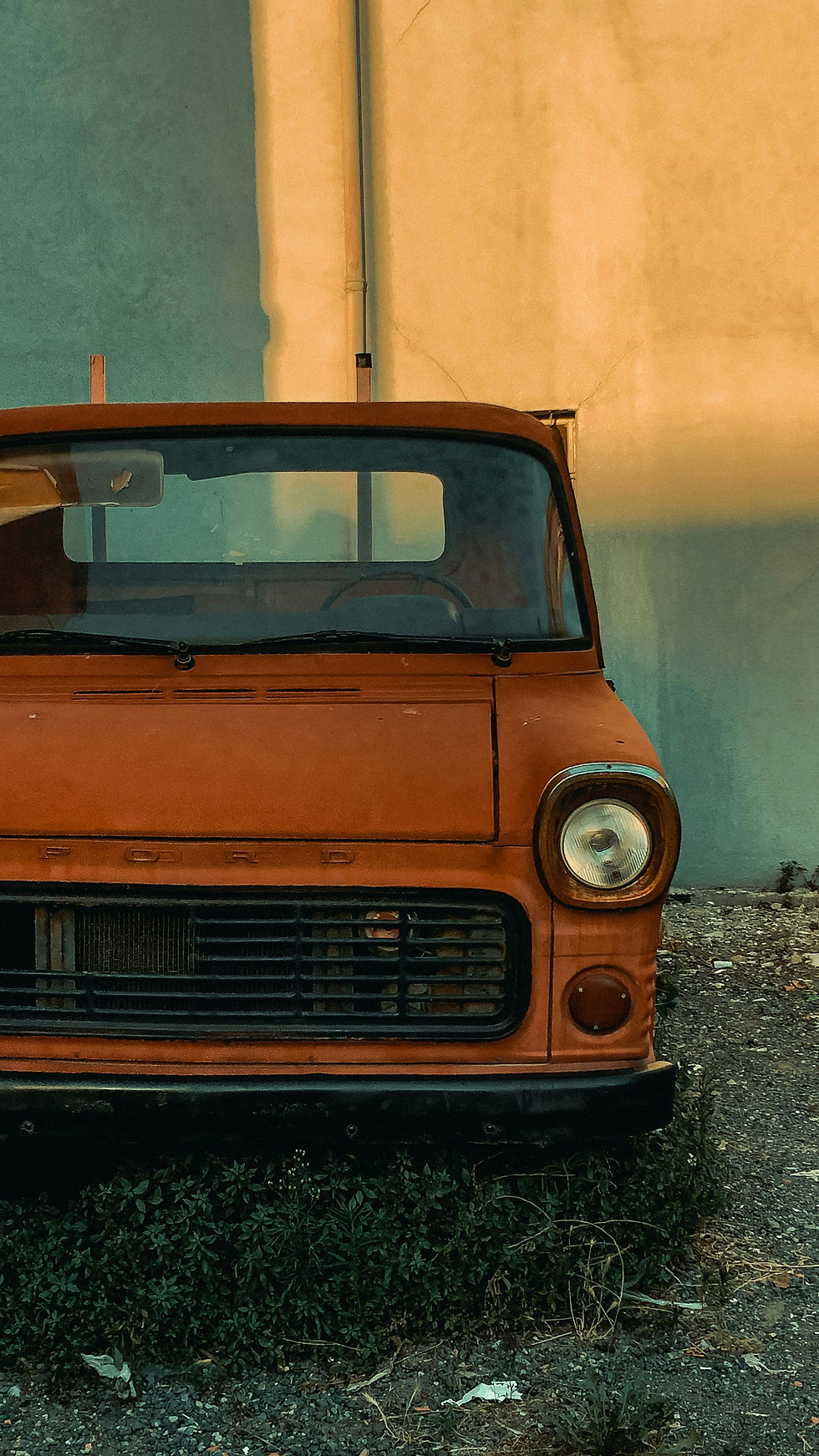 Image by Youssef Mohamed