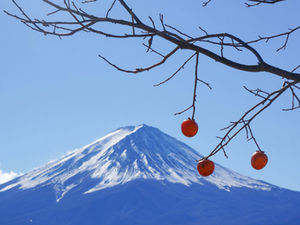 令和7年度　年末年始営業日程