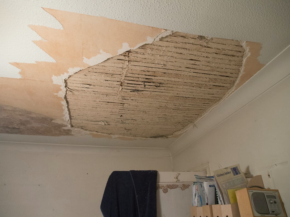 Ceiling Leak Repair and Stain Blocking White Glove Plumbing & Restoration 