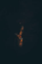 Image by Aidan Zhang