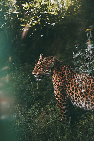 Image by Bucography