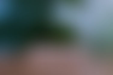 Wooden letter spelling DOUBT. Shame and how to release the self doubt