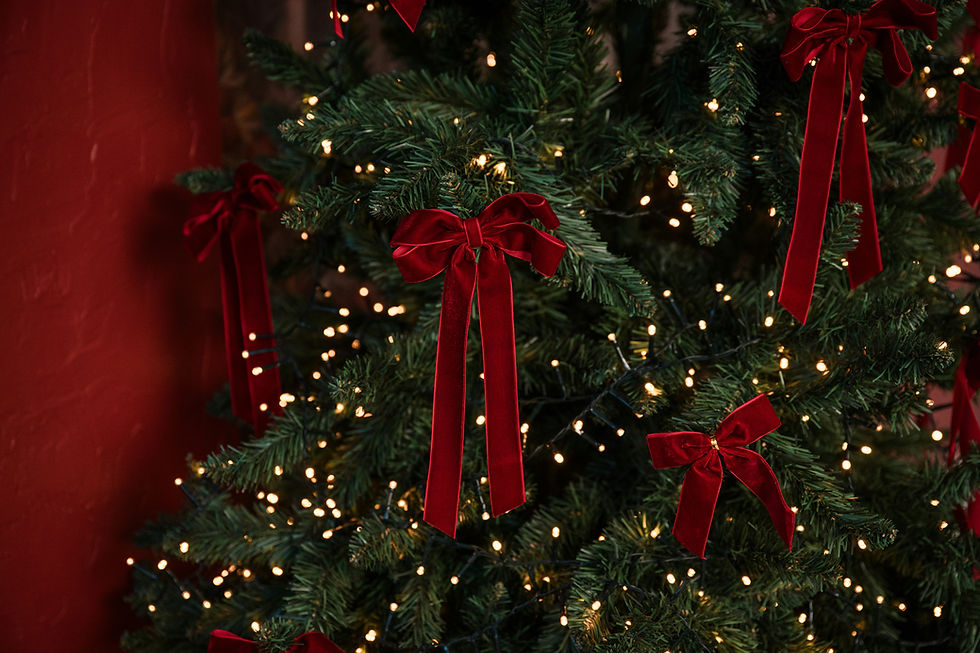 Shadow Maribrengaël -2025年の冬至に向かって-