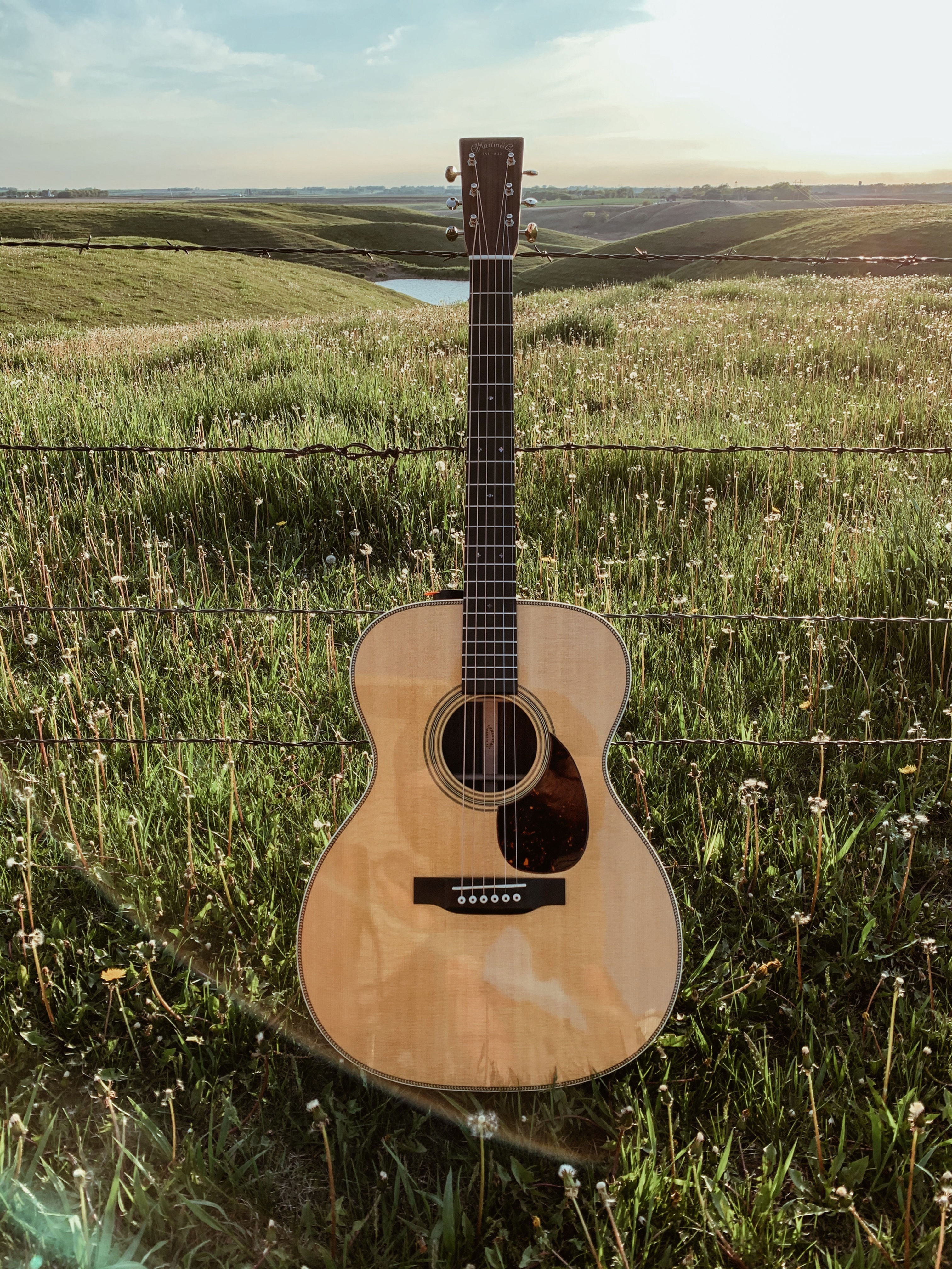 Acoustic Guitar Sample Pack - Autumn Walk