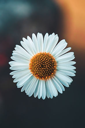 Image by AARN GIRI