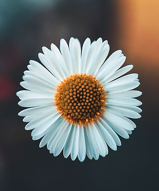 Image by AARN GIRI