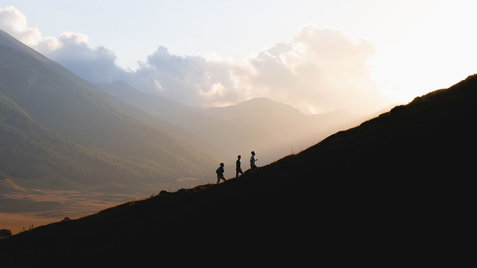Image by Francesco Califano