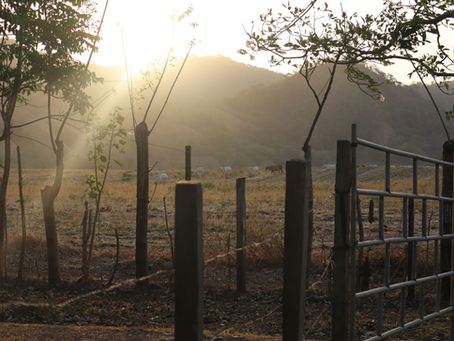 CAF identifica oportunidades de diversificación en los territorios rurales de Panamá