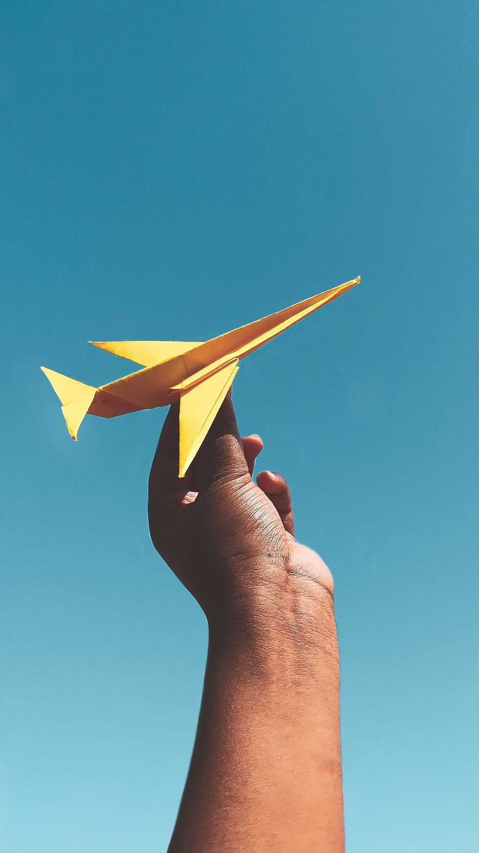 Pieghe di Memoria: Il Ruolo Terapeutico dell’Origami nella Gestione del Paziente con Demenza