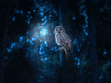 The Dark Night of the Soul: A Journey into the Unknown