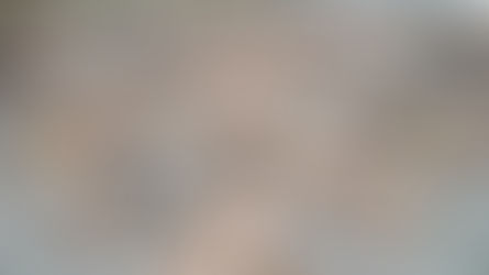 Les arbres de décision : la clé pour transmettre savoir et savoir-faire