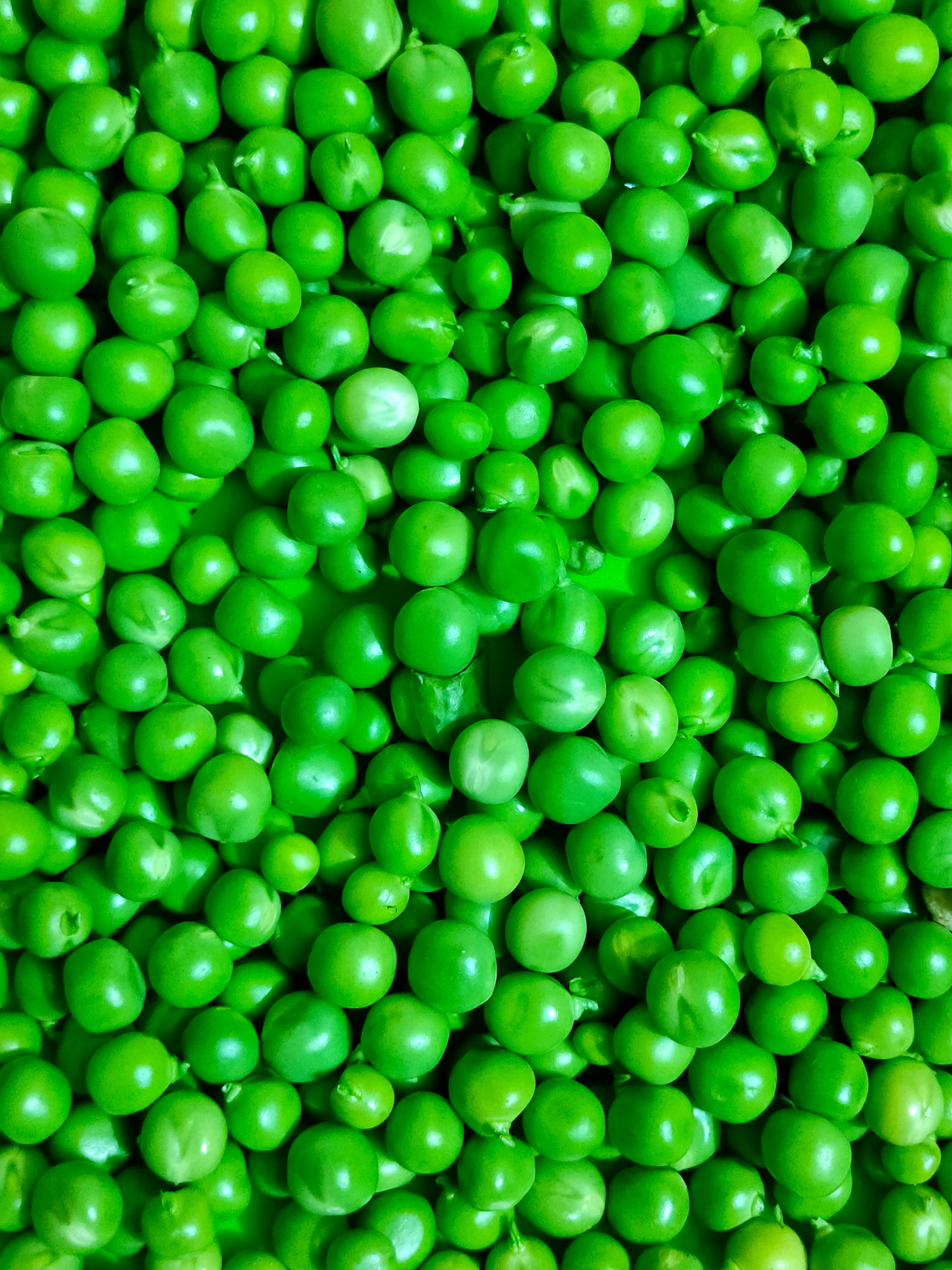 The Hidden Dangers of Pea Protein: Is Pea Protein safe to consume regularly?