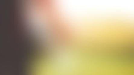 Stratégies et Perspectives pour les Entreprises Françaises dans un Contexte Économique International Challengeant