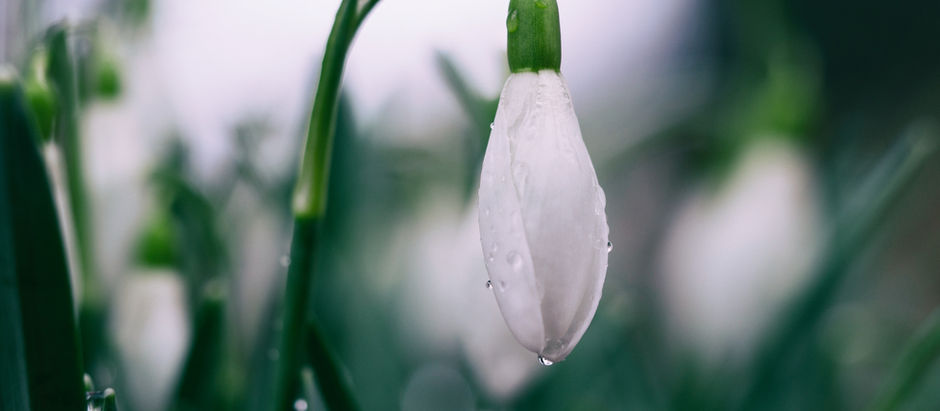 PARISH NEWS - 22 March 2023