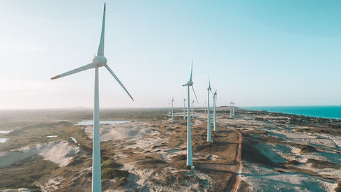 Image by Pedro Henrique Santos
