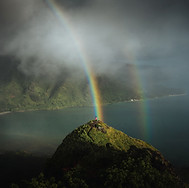 Image by Will Rust