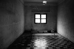 Image by MARCIN CZERNIAWSKI