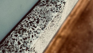 Avoiding Mold Damage After a Flood in South Florida