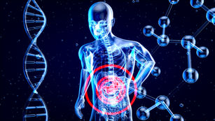 The Gut-Brain Connection: How it Works and The Role of Nutrition
