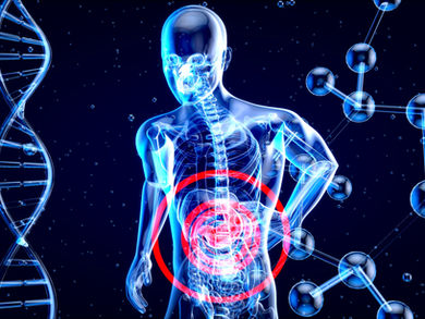 "The Power of Probiotics: A Brief Guide to Improve Health"
